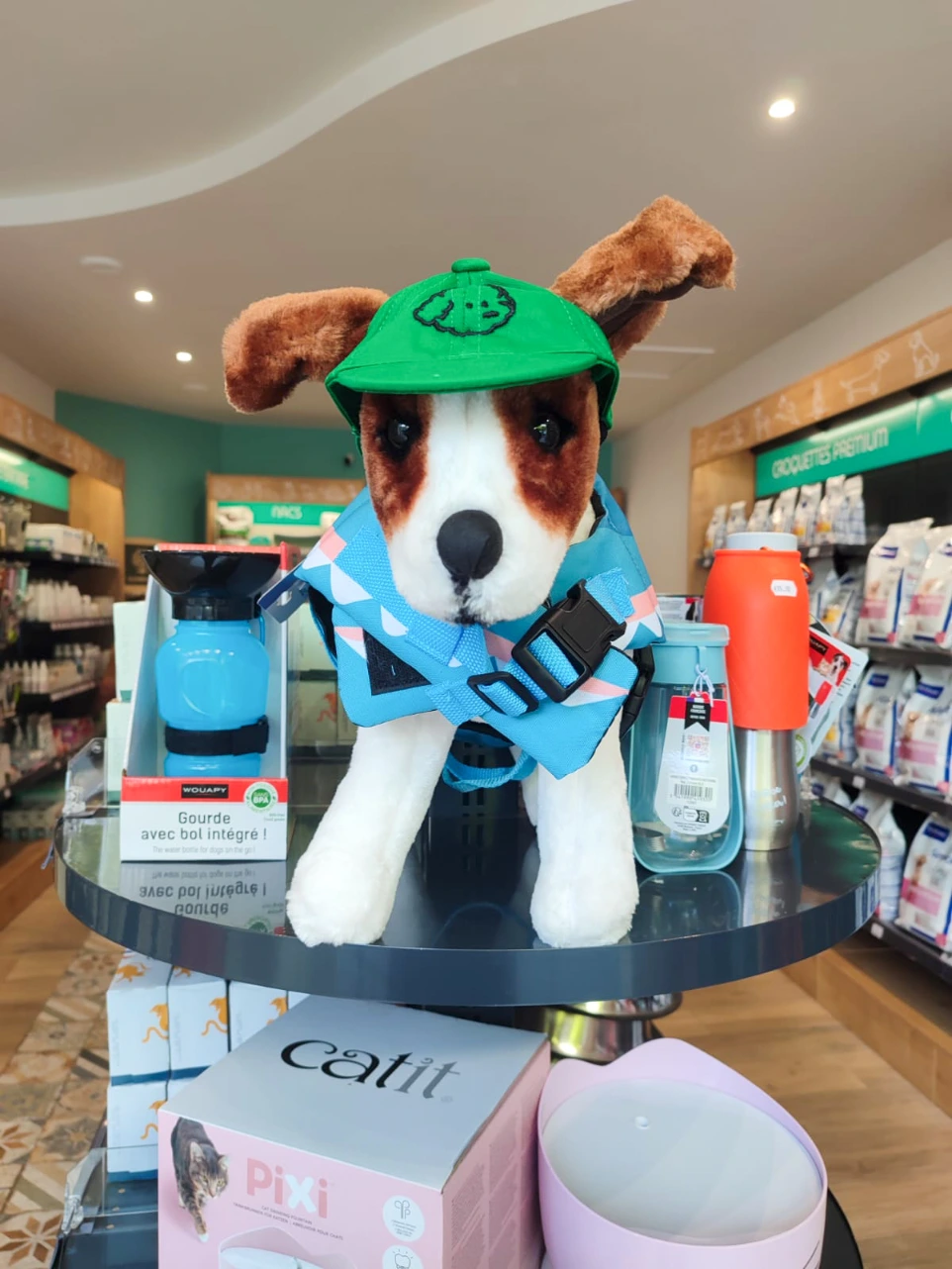 Intérieur de la boutique Provetys à Tours