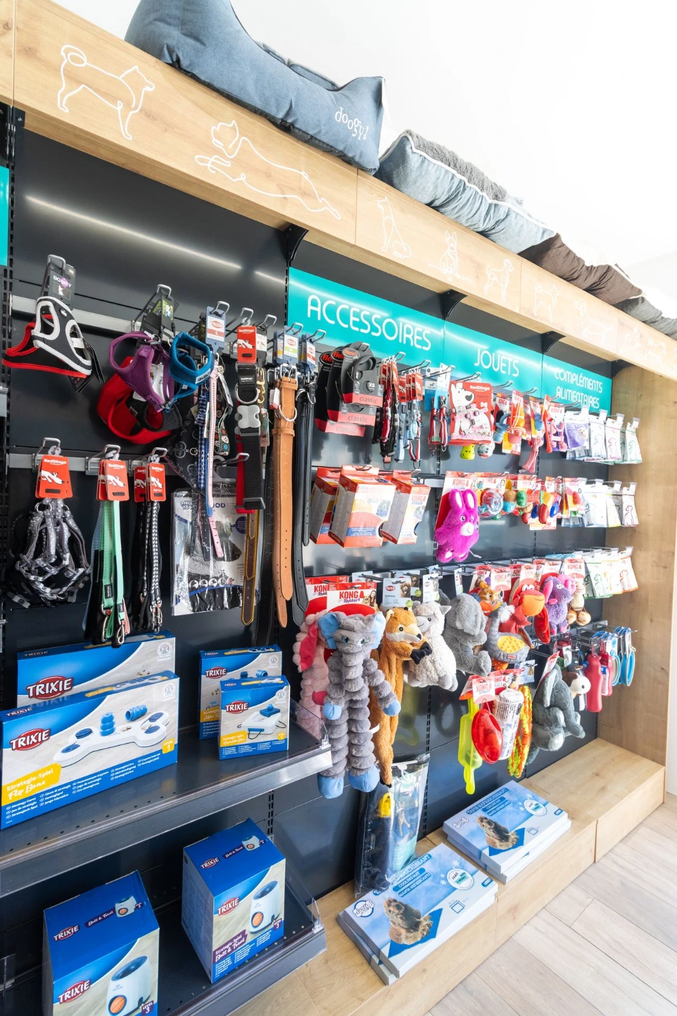 Jouets et accessoires pour chien de la boutique Provetys à Tours