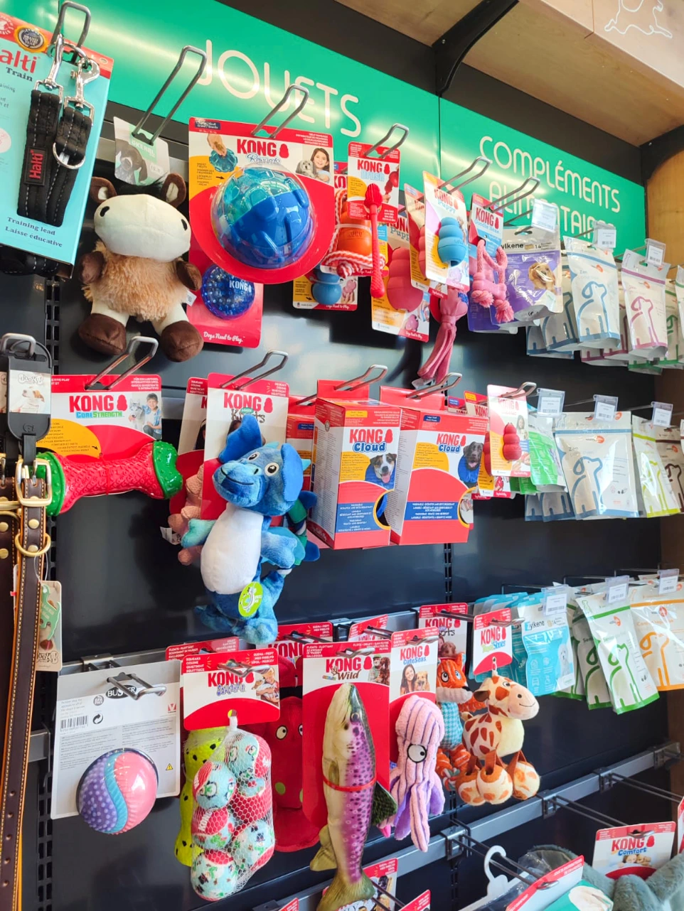 Jouets pour chien de la boutique Provetys à Tours