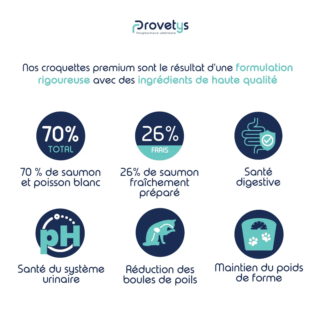 CHAT -  SAUMON-3.webp