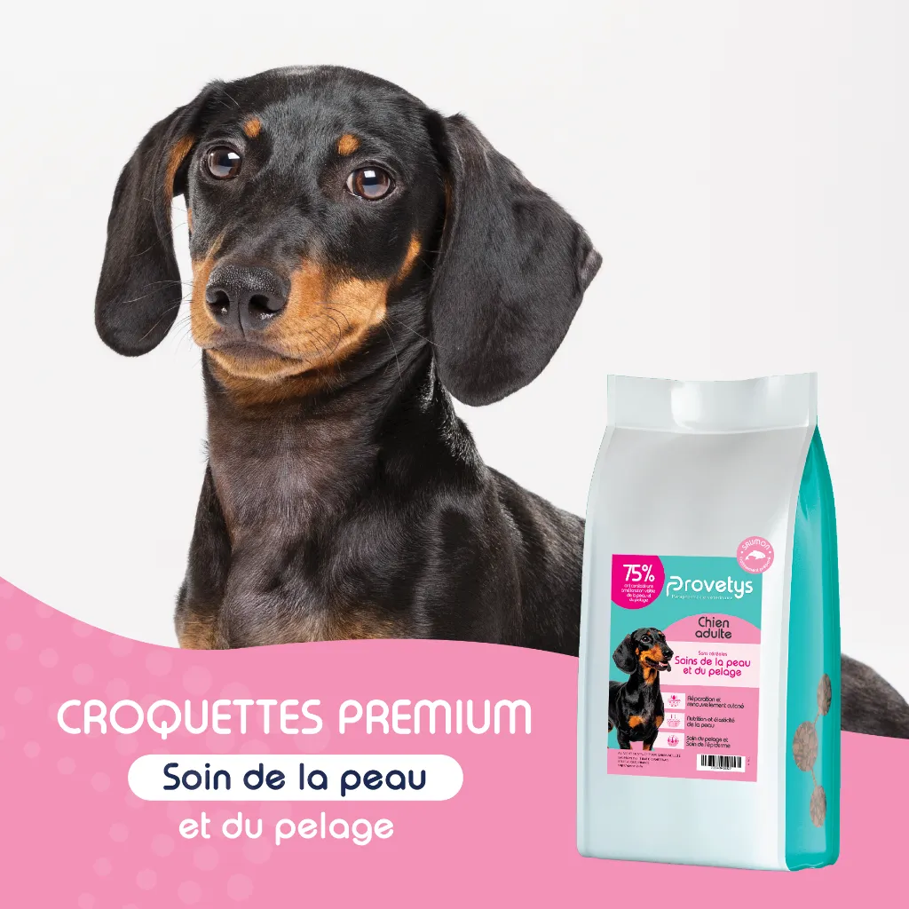 CHIEN - Soin de la peau-1.webp