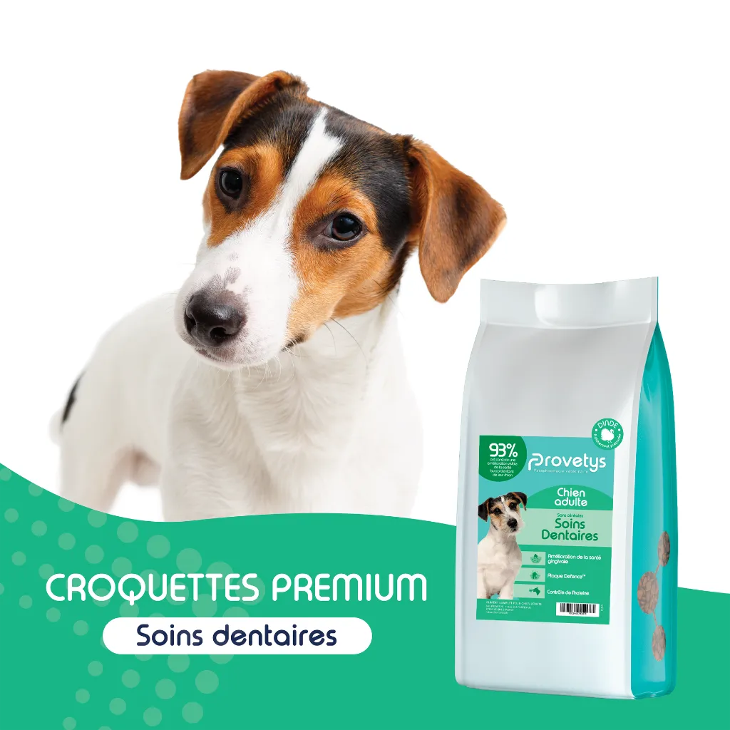 CHIEN - Soins dentaires-1.webp