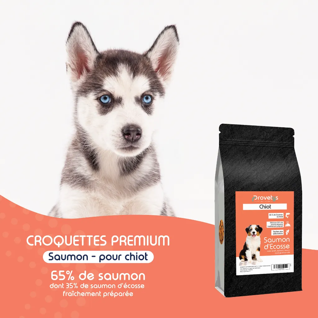 CHIOT - saumon-1.webp