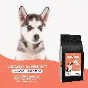 CHIOT - saumon-1.webp