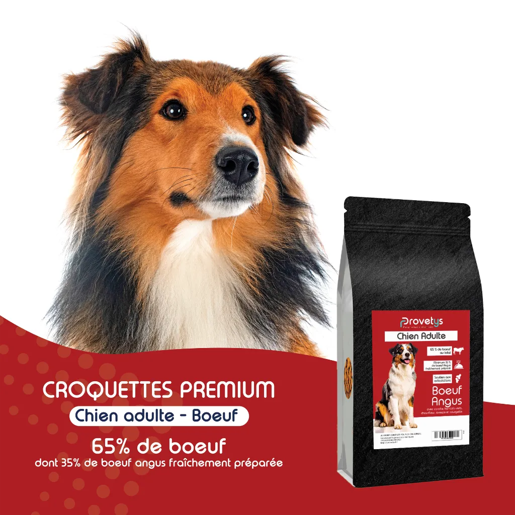 CHIEN - boeuf-1.webp