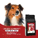 CHIEN - boeuf-1.webp