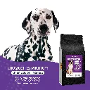 CHIEN - canard-1.webp