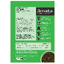 CHIEN - agneau-3.webp