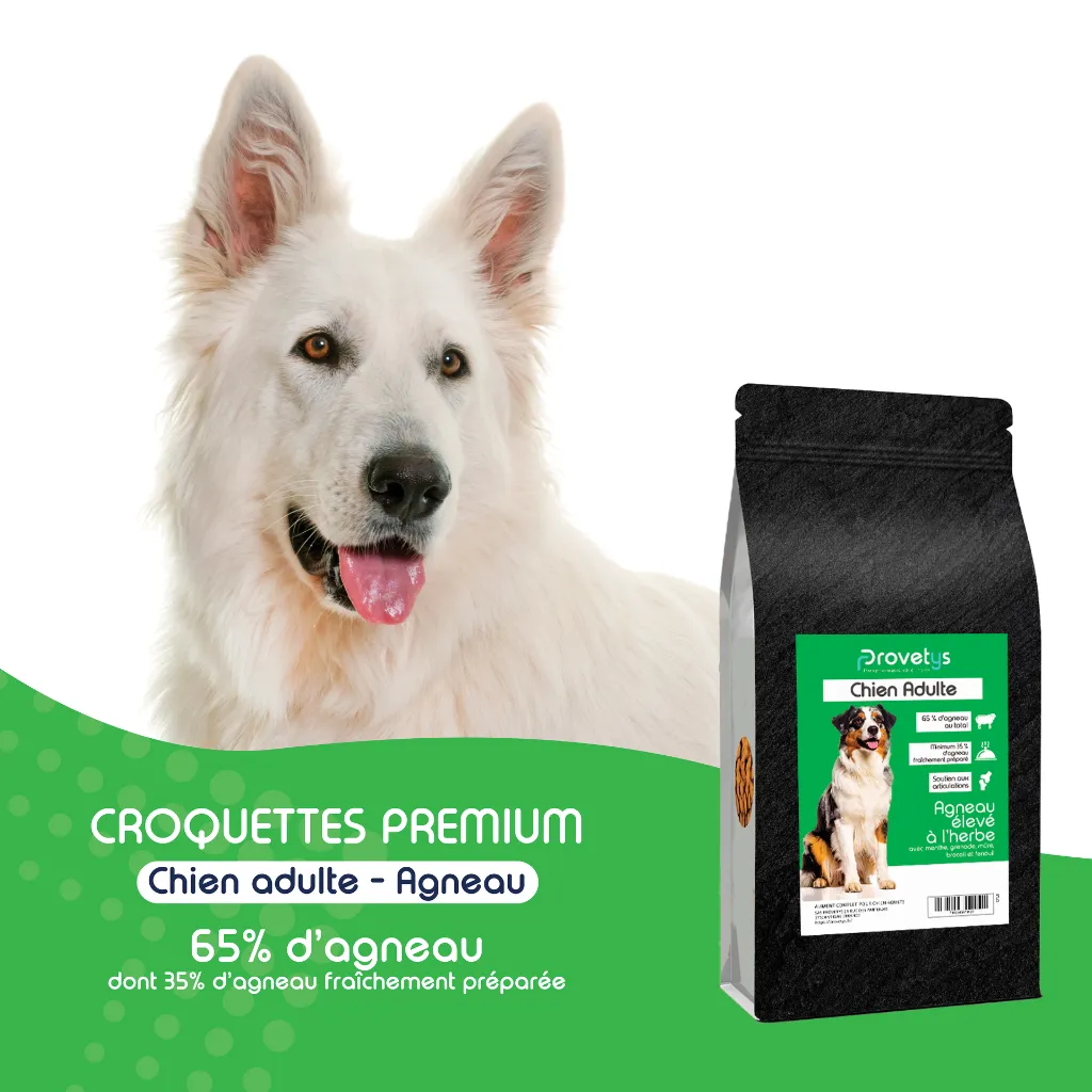 CHIEN - agneau-1.webp