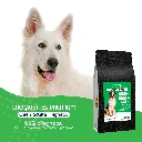 CHIEN - agneau-1.webp