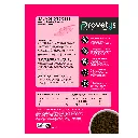 CHIEN SENIOR - saumon-3.webp