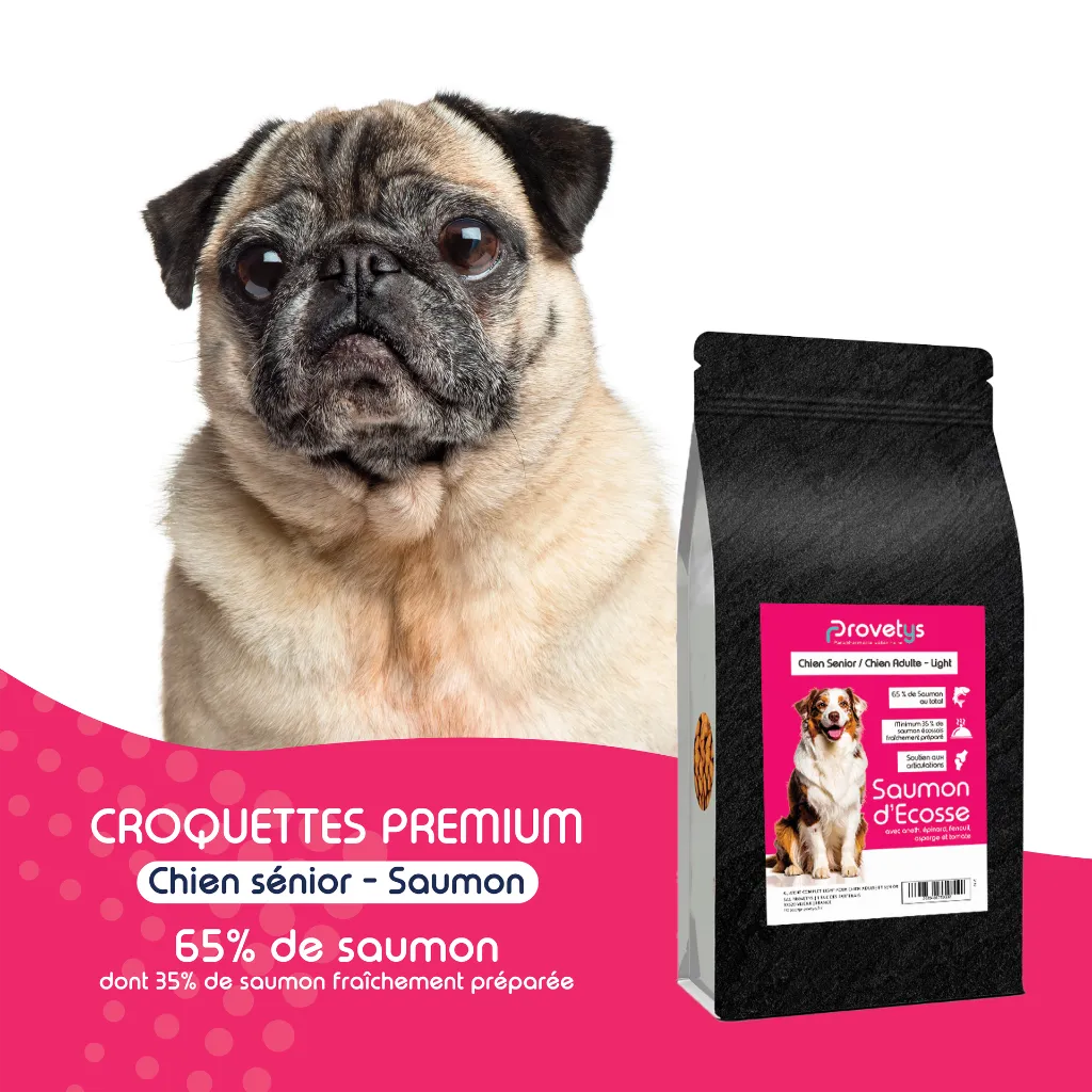 CHIEN SENIOR - saumon-1.webp