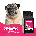 CHIEN SENIOR - saumon-1.webp