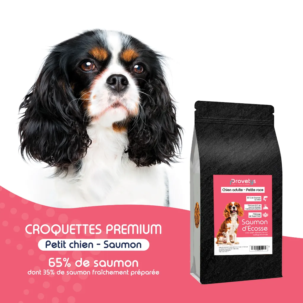 CHIEN PETIT - saumon-1.webp