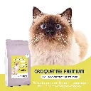 CHAT - POULET-1.webp