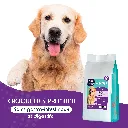 CHIEN - Soin gastro intestinal-1.webp