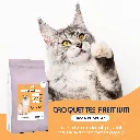 CHAT -  DINDE-1.webp