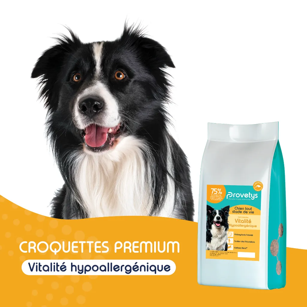 CHIEN - vitalité hypoallergénique-1.webp