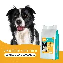 CHIEN - vitalité hypoallergénique-1.webp