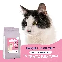 CHAT -  SAUMON-1.webp