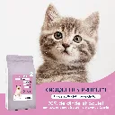 CHATON - Dinde-1.webp