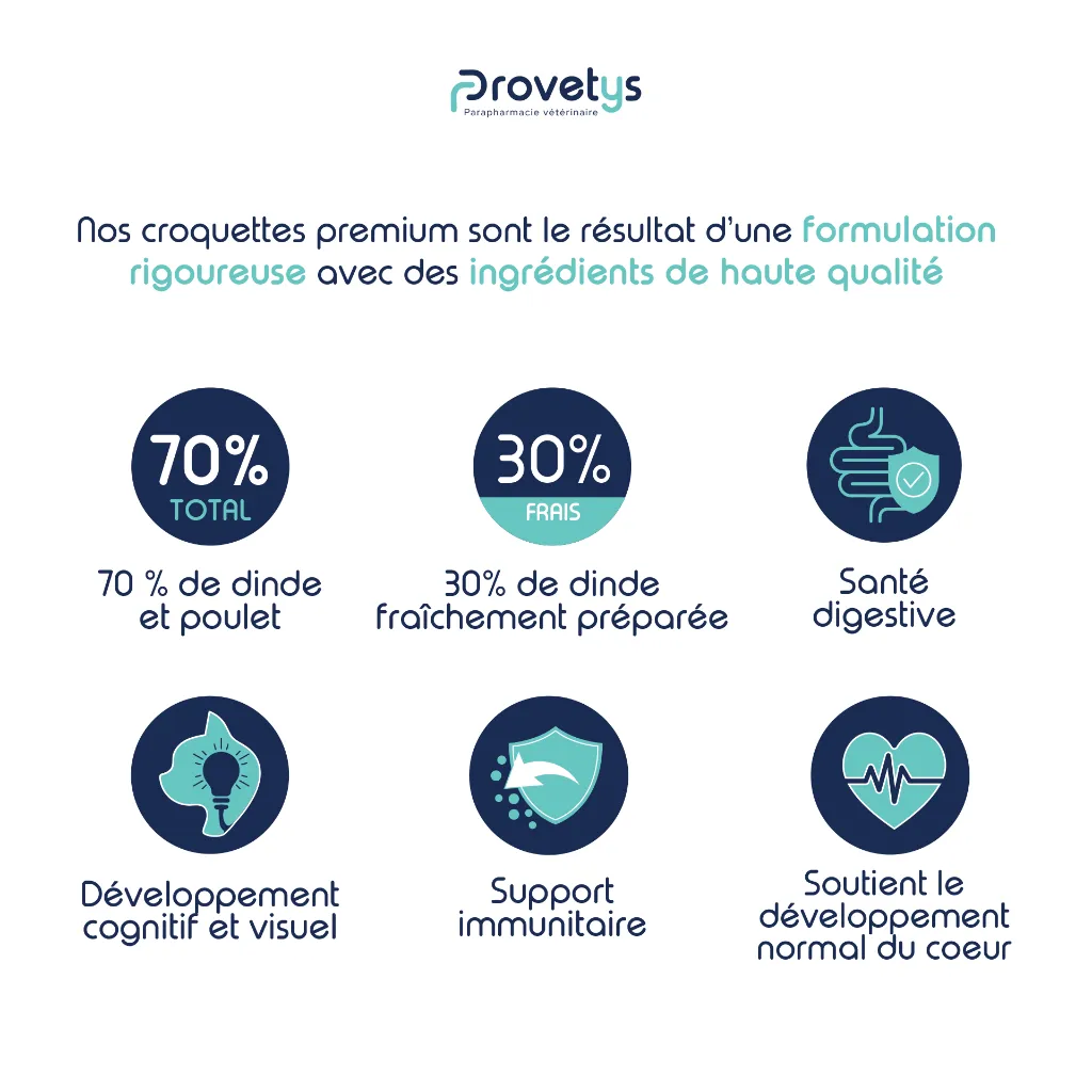 CHATON - Dinde-3.webp