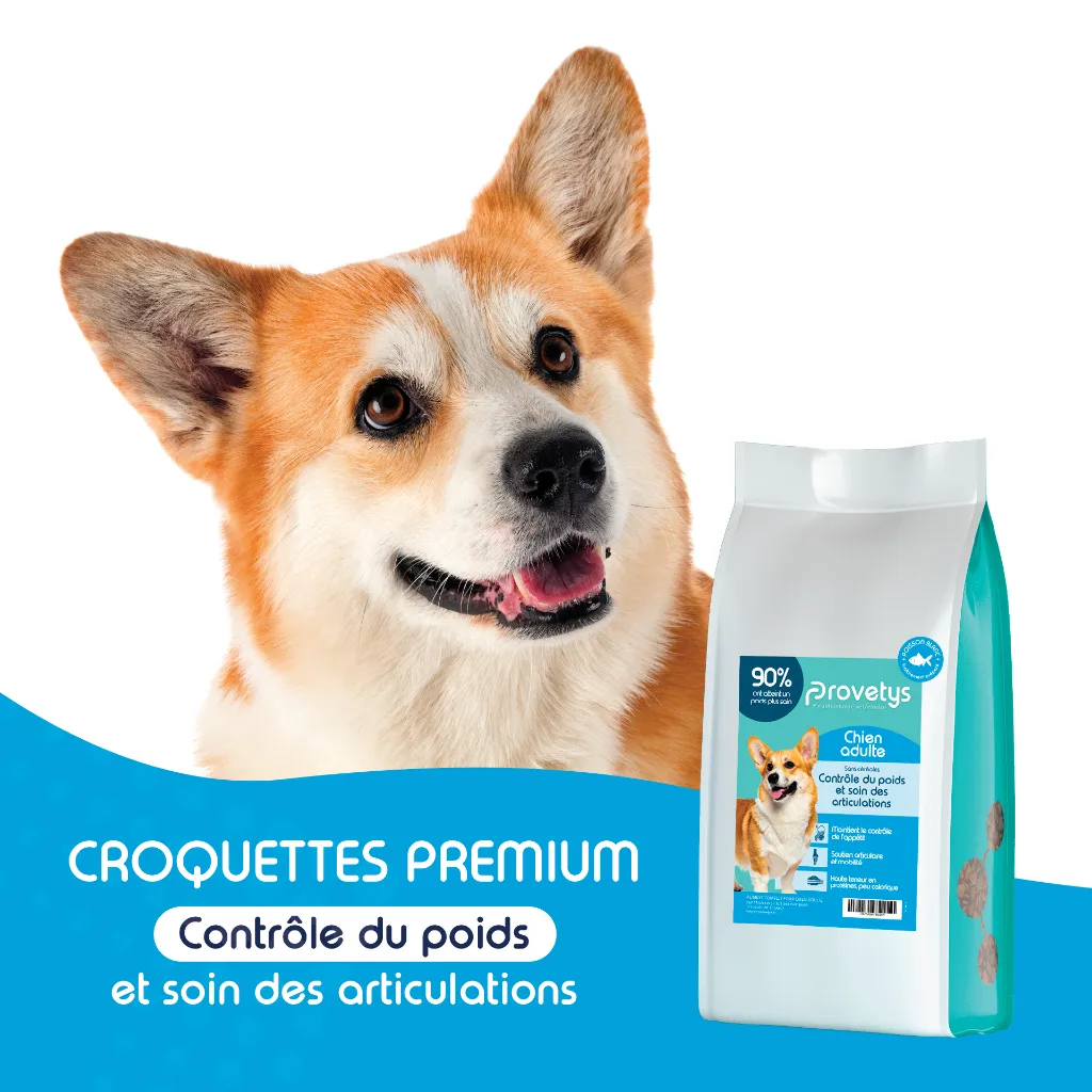 CHIEN - controle du poids-1.webp