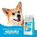 CHIEN - controle du poids-1.webp