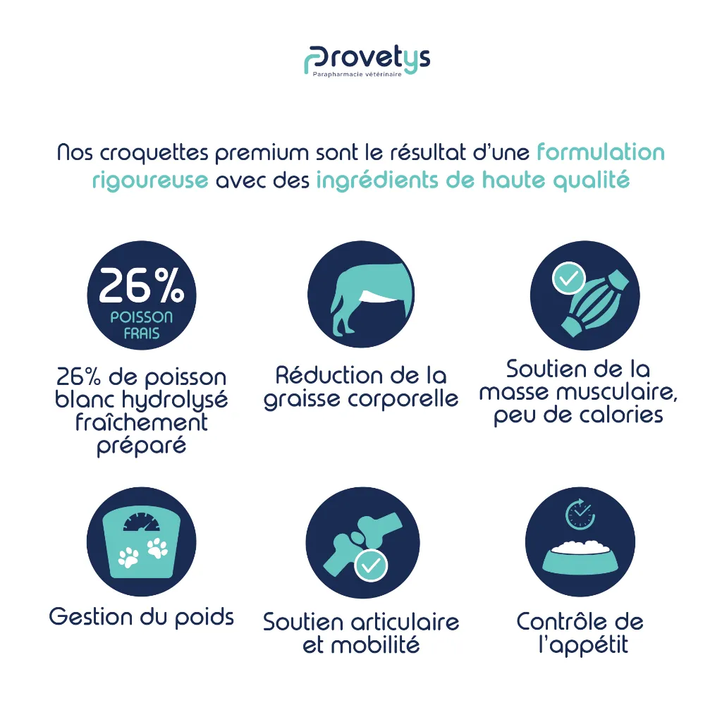 CHIEN - controle du poids-3.webp