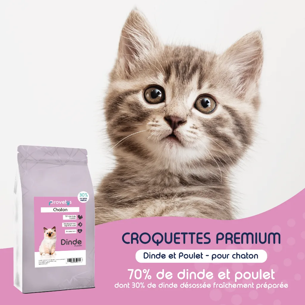 CHATON - Dinde-1.webp