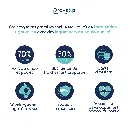 CHATON - Dinde-3.webp