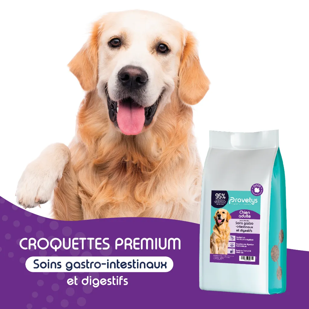 CHIEN - Soin gastro intestinal-1.webp