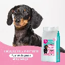 CHIEN - Soin de la peau-1.webp