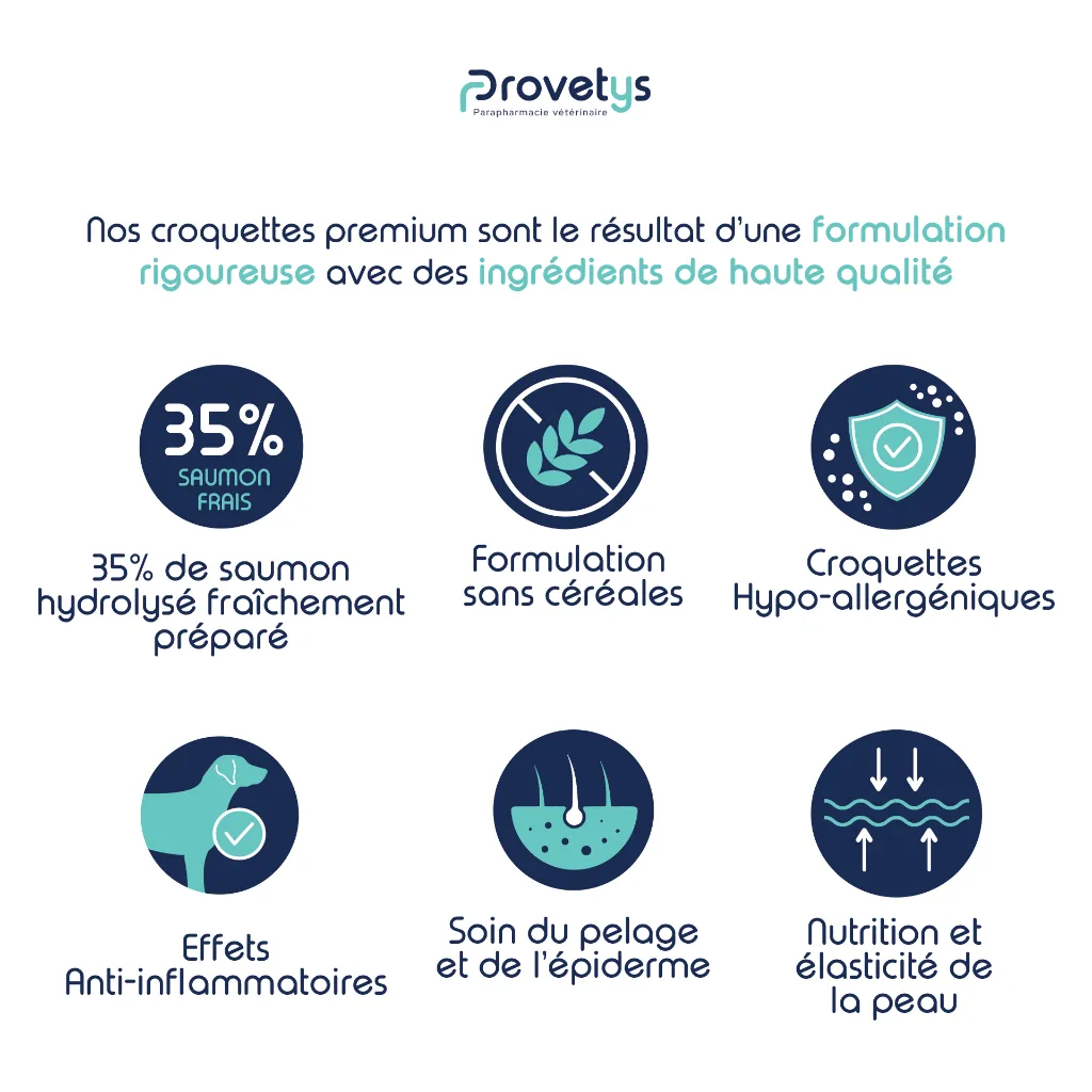 CHIEN - Soin de la peau-3.webp