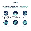 CHAT -  CANARD-3.webp