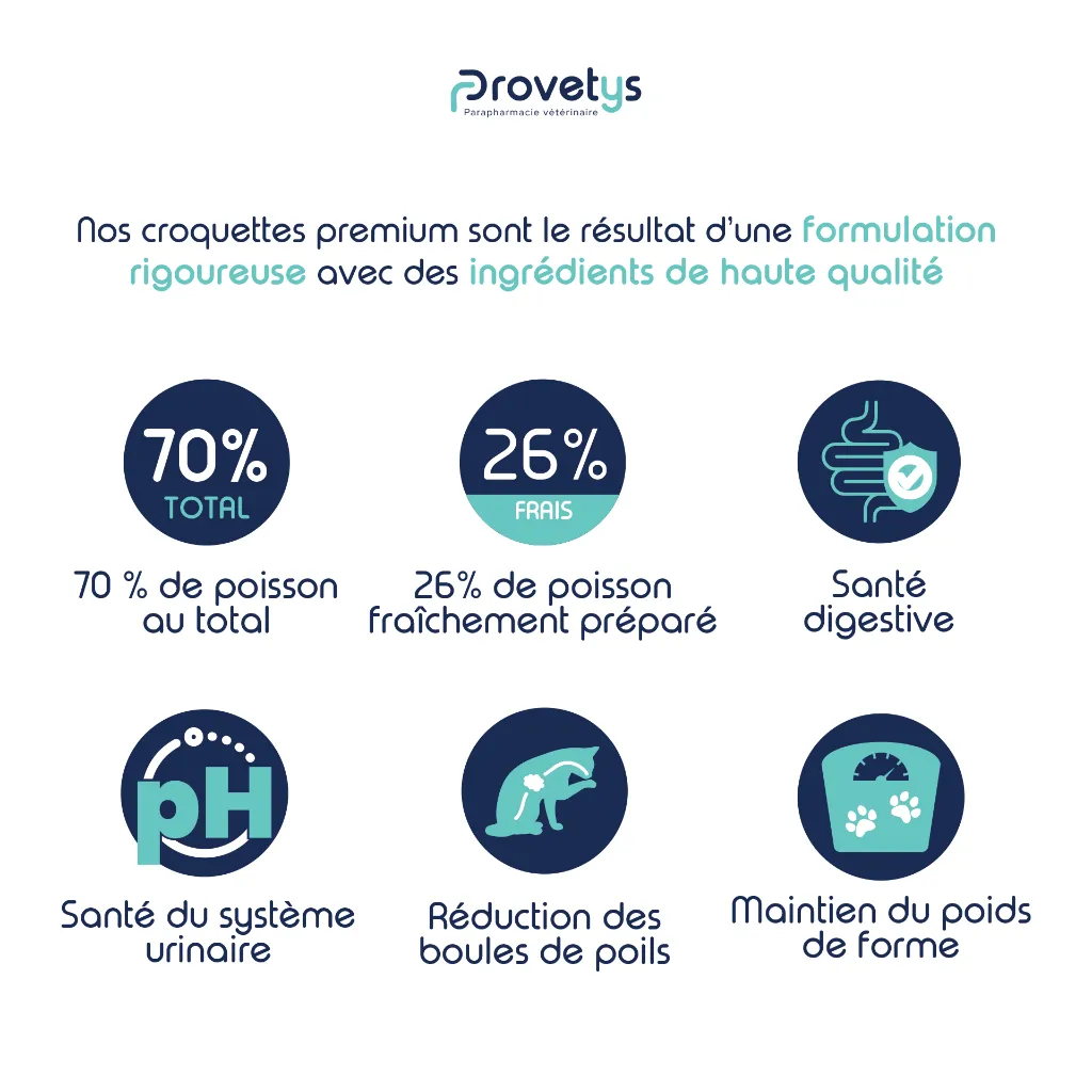 CHAT - Poisson blanc-3.webp