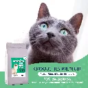 CHAT - Poisson blanc-1.webp