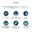 CHAT - Poisson blanc-3.webp