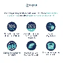 CHAT -  SAUMON-3.webp