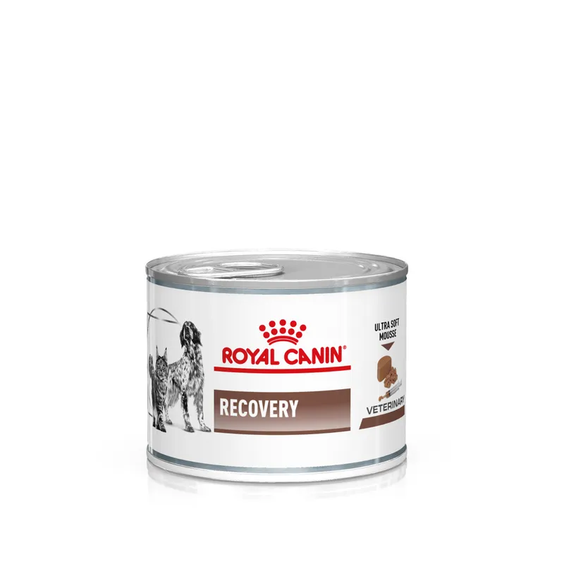 ROYAL CANIN VETERINARY DIET Recovery pour chien & chat - 12 boîtes de 195 g