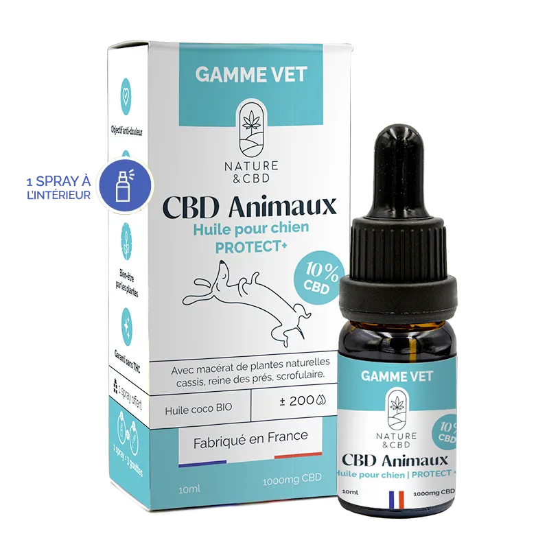 Huile CBD PROTECT+ chien 10% - Mobilité et douleurs inflammatoires - Gamme Vet