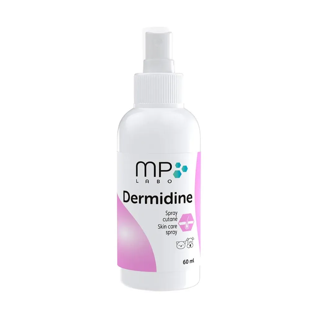 DERMIDINE Spray cutané - 120ml