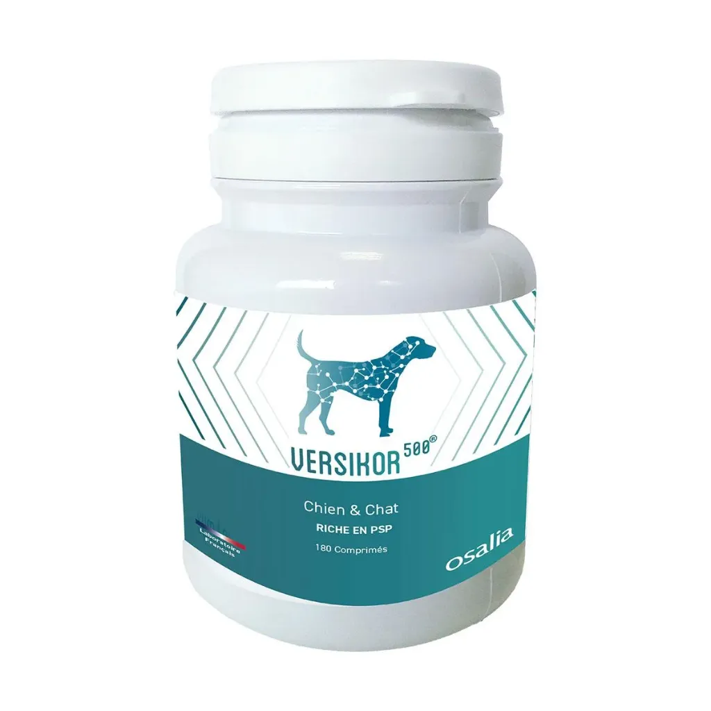 Versikor 500 Chien & Chat riche en PSP - Boite de 180 comprimés