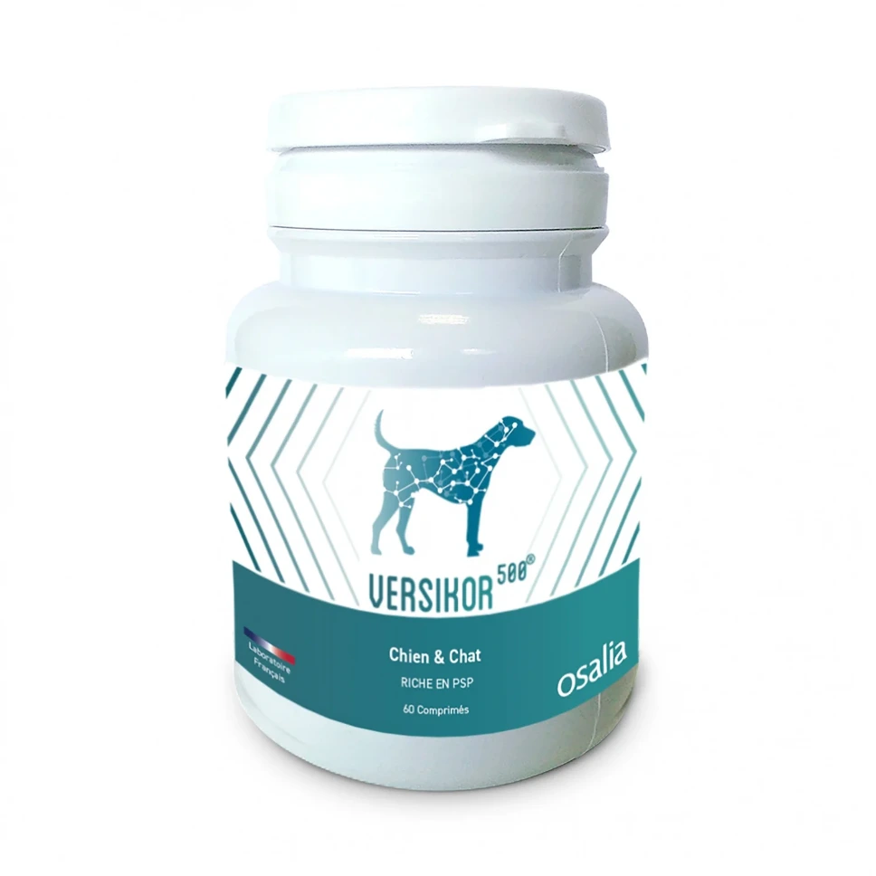 Versikor 500 Chien & Chat riche en PSP - Boite de 60 comprimés