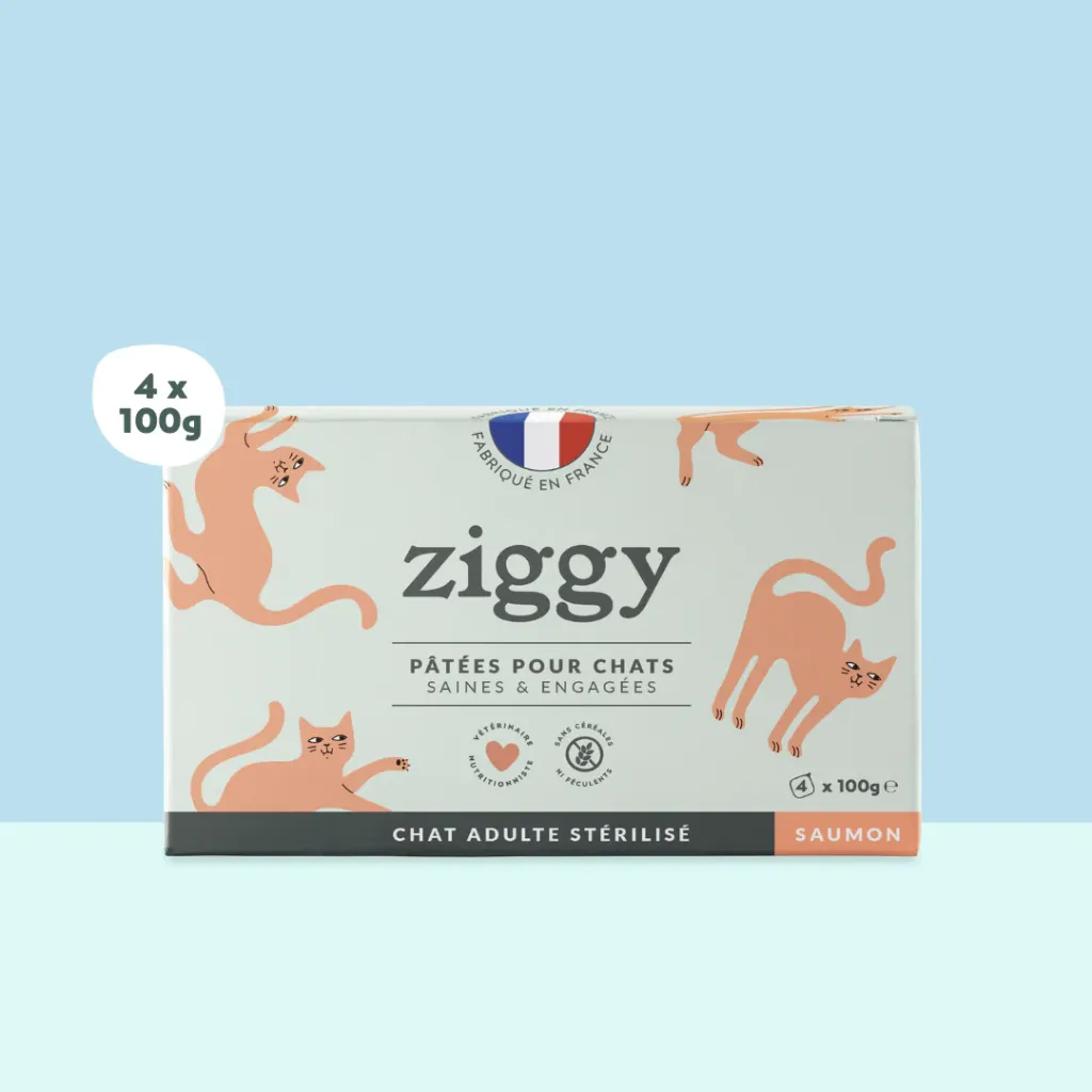 ZIGGY Pâtée Chat Stérilisé Sans Céréales Saumon - 4x100g