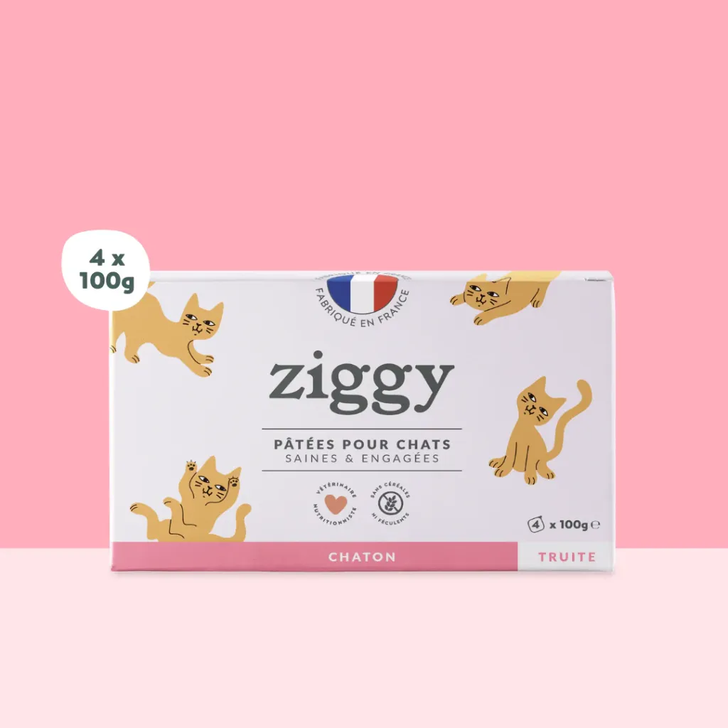 [1887640] ZIGGY Pâtée Chaton Sans Céréales Truite - 4x100g
