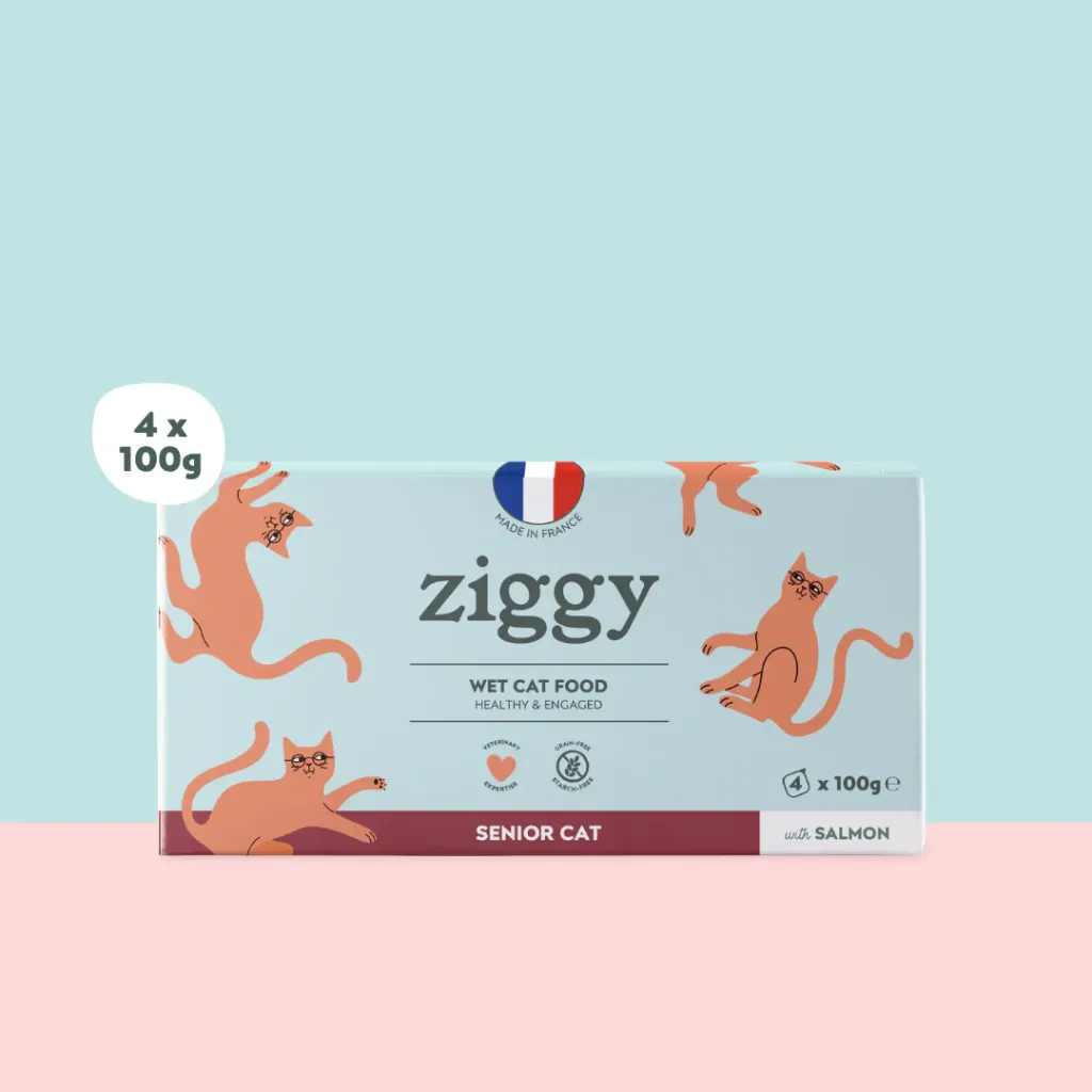 ZIGGY Pâtée Chat Sénior Sans Céréales Saumon - 4x100g