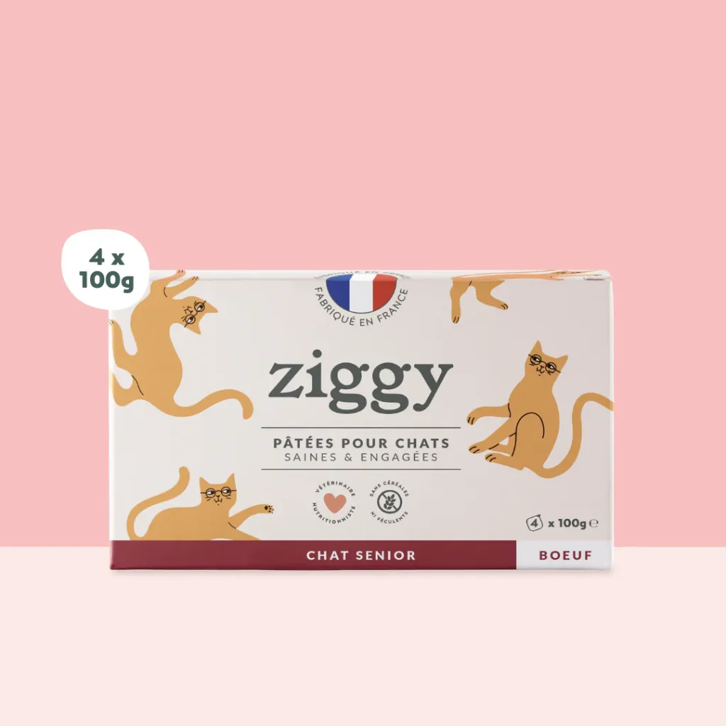ZIGGY Pâtée Chat Sénior Sans Céréales Boeuf - 4x100g