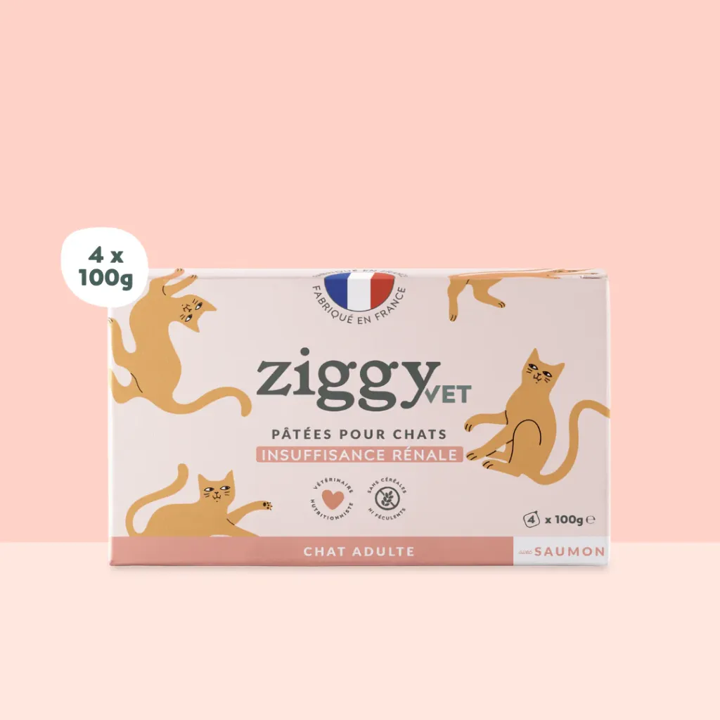 ZIGGY Pâtée Chat Adulte Insuffisance Rénale Saumon - 4x100g
