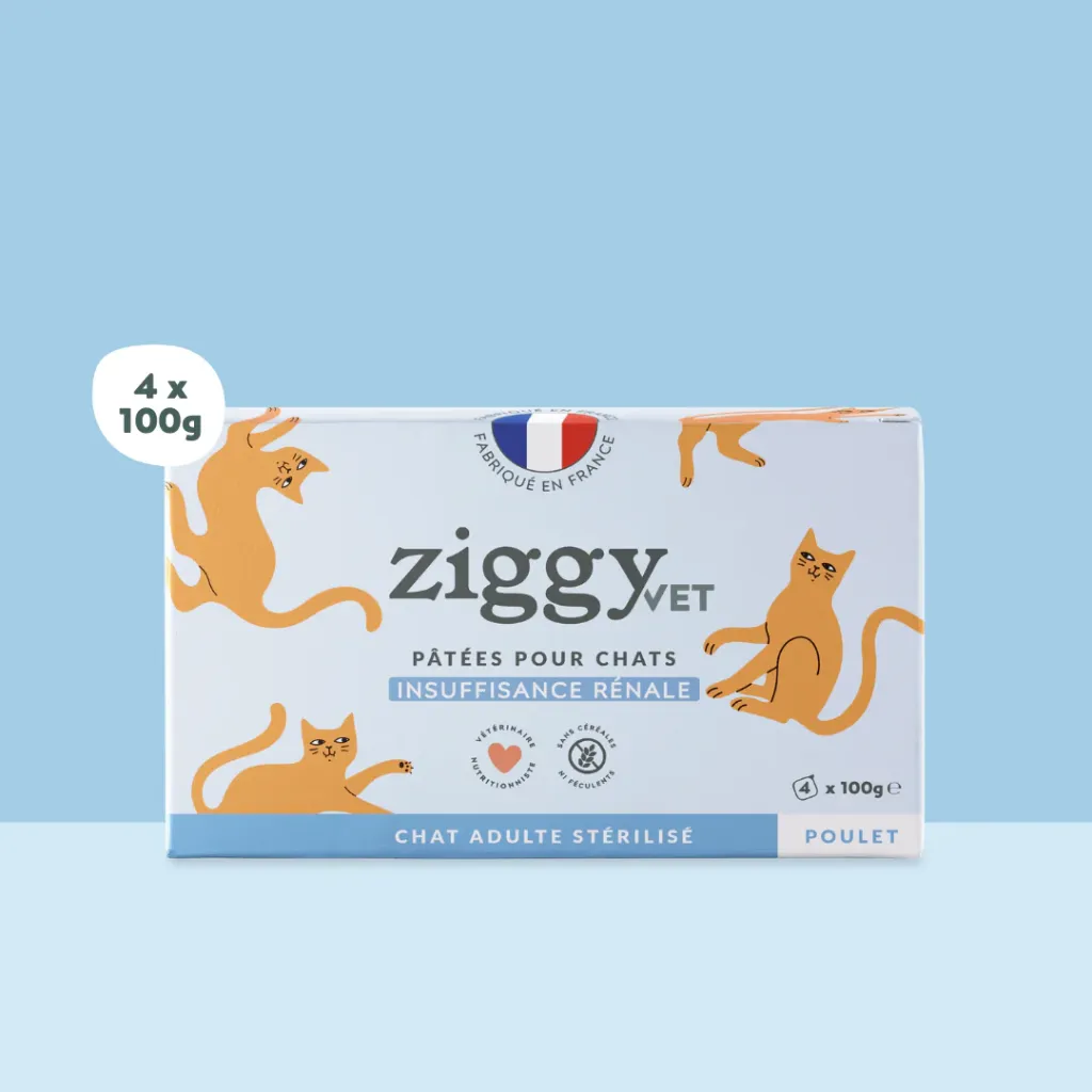 ZIGGY Pâtée Chat Adulte Insuffisance Rénale Poulet - 4x100g